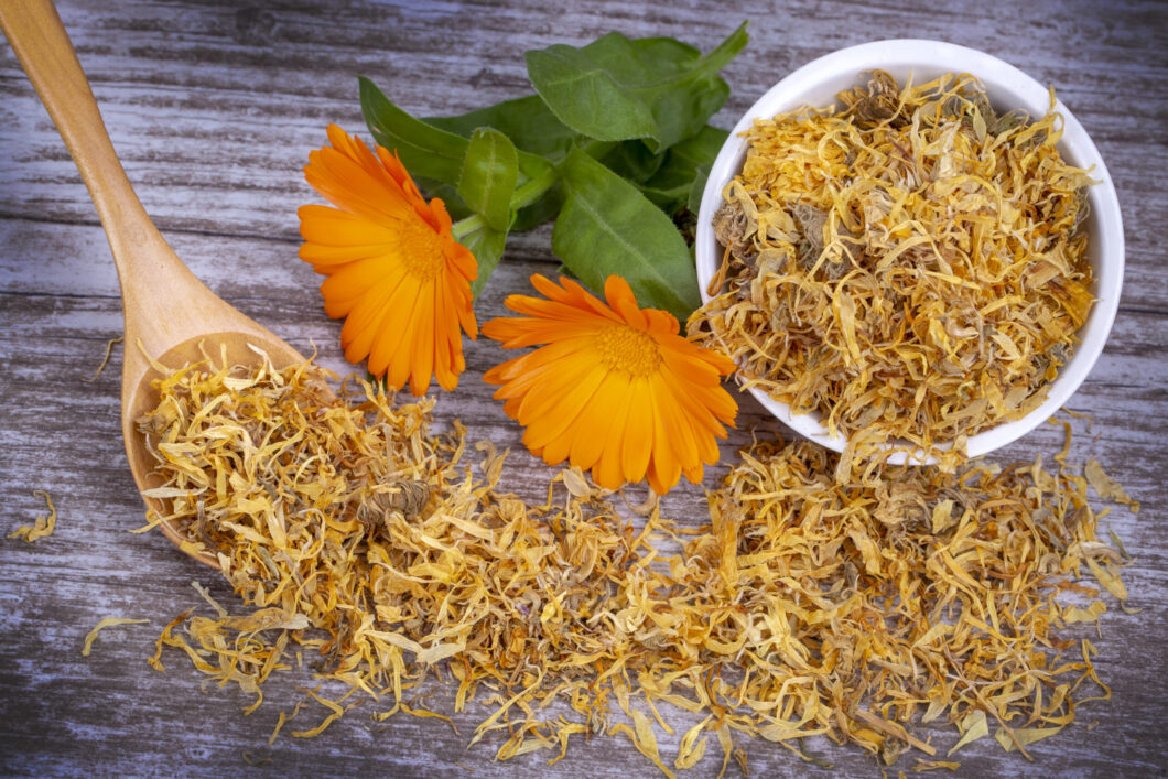 propiedades-de-la-calendula